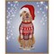 Pitbull in Christmas Sweater by Fab Funky 23-in. W x 28-in. H. Canvas Wall Art Print Framed